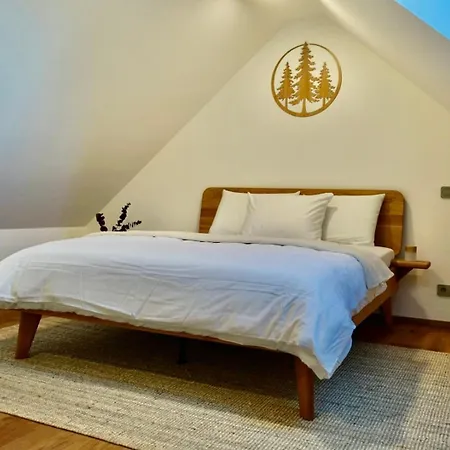 Luxusní S Vlastní Hvězdnou Oblohou - šumava, Apartmán Srní